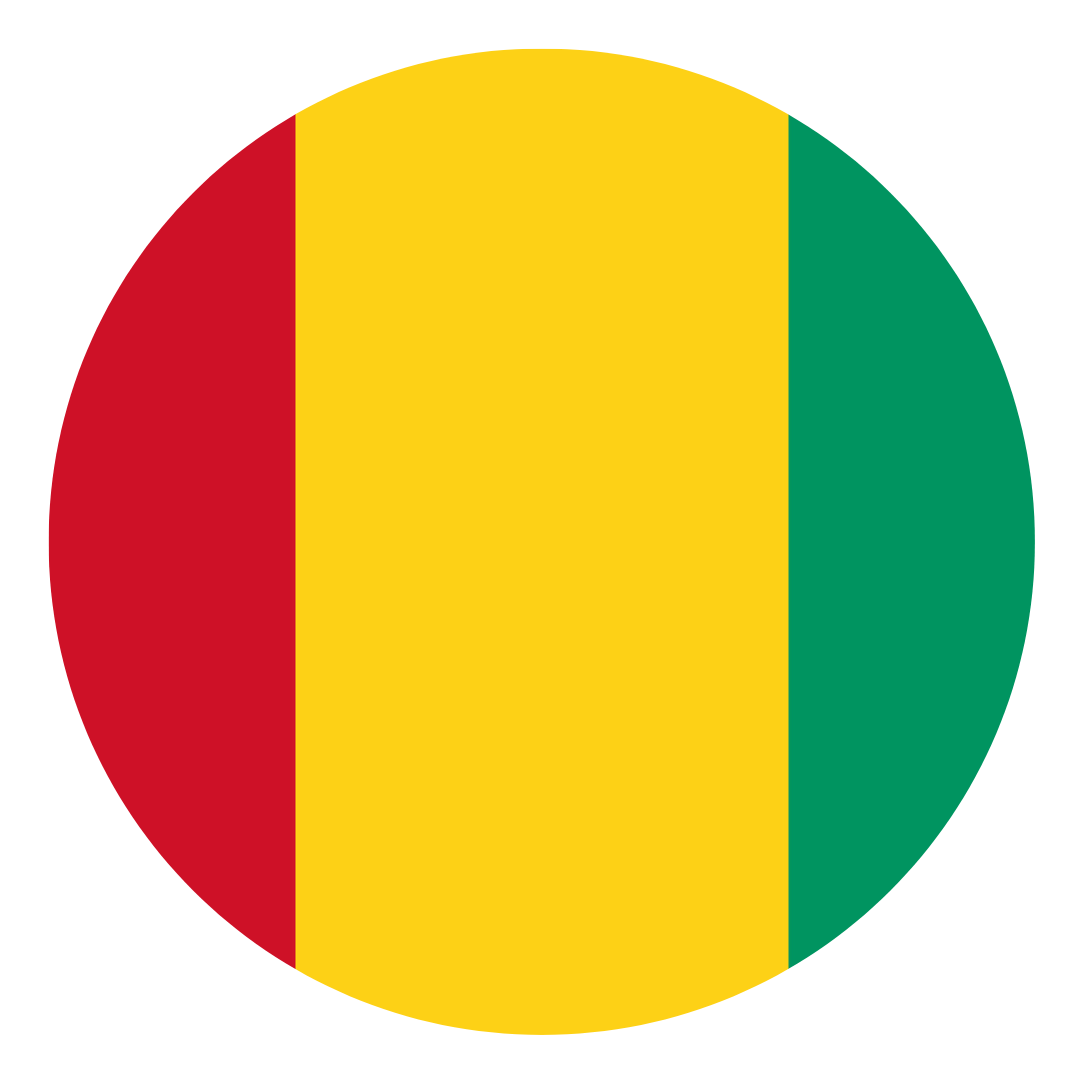 icone Guinée